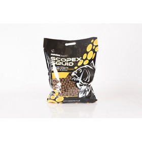 Nash Scopex Squid Boilies Stabilised 1kg 24mm